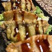 Amazing dumplings 🥟   at Chay Vegan Asian Kitchen in Hamburg