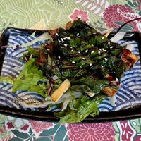 Green rolls  at Chay Vegan Asian Kitchen in Hamburg