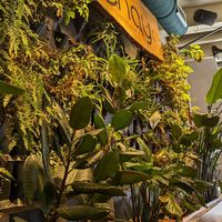 . at Chay Vegan Asian Kitchen in Hamburg