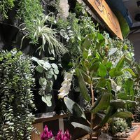   at Chay Vegan Asian Kitchen in Hamburg