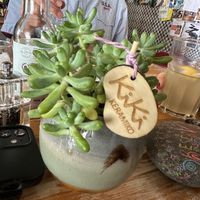 The devil is in the detail   at Andorinha do Mar in Budens