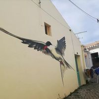 Outside at Andorinha do Mar in Budens