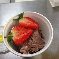 Vegan ice cream  at Barnacles in Llandudno