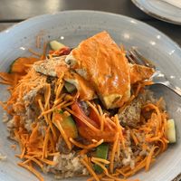 Tofu Bowl  at Banditos Cantina in Myrtle Beach