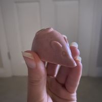 Strawberry mouse  at Tempt in York