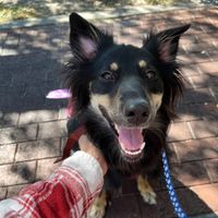   at Tarpon Tavern in Tarpon Springs