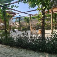  at Vegan Basket in Kilifi
