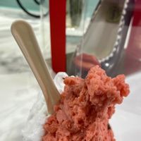   at La Sorbetteria Castiglione in Bologna