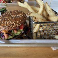 Amazing every time  at Plantology - Cloud Kitchen - Maybe closed in San Antonio