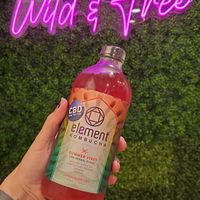 Cute decor! at Plantology - Cloud Kitchen - Maybe closed in San Antonio