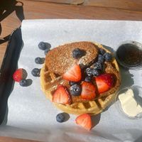 Chik’n & Waffles at Plantology - Cloud Kitchen - Maybe closed in San Antonio