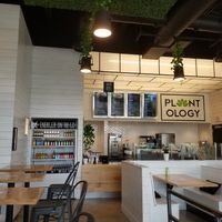 Inside the restaurant at Plantology - Cloud Kitchen - Maybe closed in San Antonio