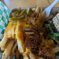 Close up of fancy fries at Plantology - Cloud Kitchen - Maybe closed in San Antonio