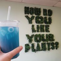 Blue lemonade at Plant Based Heat in Memphis