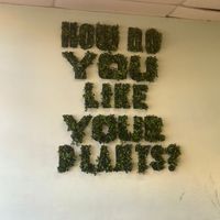   at Plant Based Heat in Memphis