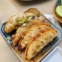 veggie gyoze at Seadog Sushi Bar in Chicago