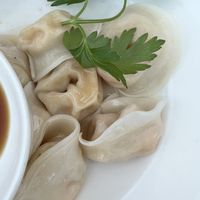 Veggie dumplings   at Po's Rice and Spice in East Hampton