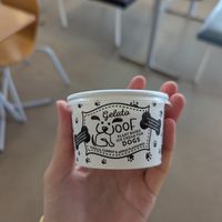 Dog ice cream at Beach Terrace Tea Room in Great Yarmouth