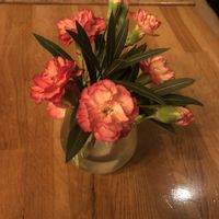   at CoBuis Kitchen in Berlin