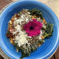   at Organic in Mallorca