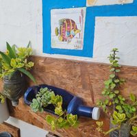  at Organic in Mallorca