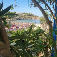  at Organic in Mallorca