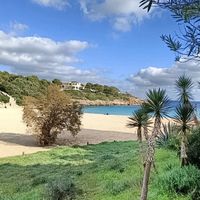   at Organic in Mallorca