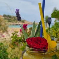  at Organic in Mallorca