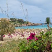  at Organic in Mallorca