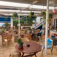 Inside at Organic in Mallorca