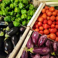  at Organic in Mallorca