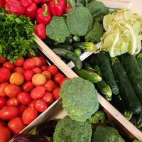  at Organic in Mallorca