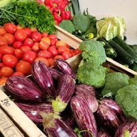  at Organic in Mallorca