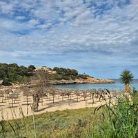 View from the terrace over the beach at Organic in Mallorca