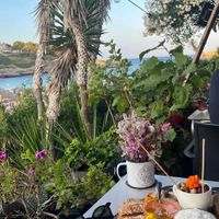  at Organic in Mallorca