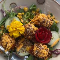  at Organic in Mallorca