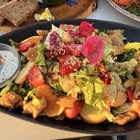   at Organic in Mallorca