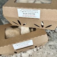 Canyon Creek Mushrooms   at Joshua Tree Farmers Market in Joshua Tree