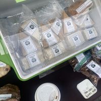   at Joshua Tree Farmers Market in Joshua Tree