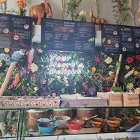 Counter at Moana Pokebowls in Bruges