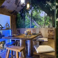 Upside plant   at Moana Pokebowls in Bruges