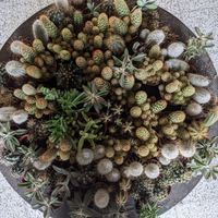  at Esquina in Lanzarote