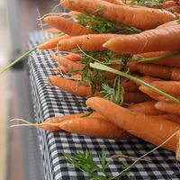 Carrots! Fresh produce at Dane County Farmers' Market in Madison