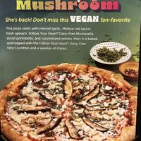 Miss mushroom special pizzaa  at Mellow Mushroom in Estero