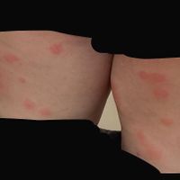  at Agora Tavern in Paphos