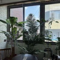   at Eat Drink Vegan in Busan