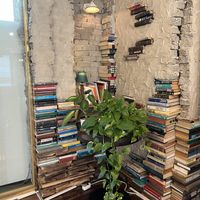 Bookish wall  at Eat Drink Vegan in Busan