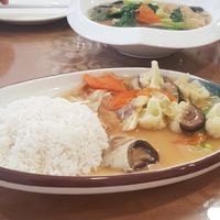 Mixed veg with rice at Neu Vegetarian Restaurant in Selangor