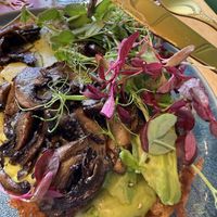 Truffle mushrooms on Sourdough  at Pinch in South West London