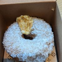 Haole at Holey Grail Donuts in Honolulu